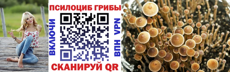 OMG зеркало  Магадан  Псилоцибиновые грибы Magic Shrooms 