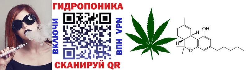 закладка ссылка на мегу как зайти Канабис ГИДРОПОН Магадан